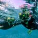 What to Count on When Tunku Abdul Rahman Marine Park Island Hopping