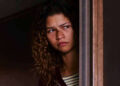 Euphoria Starring Zendaya Involves an Finish After 7 Years