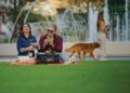 A Park for Everybody | Way of life Media Group