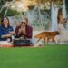 A Park for Everybody | Way of life Media Group
