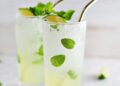 Mint Mojito Recipe – A Stunning Mess