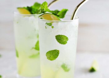 Mint Mojito Recipe – A Stunning Mess