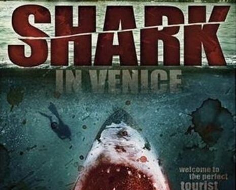 SHARK IN VENICE Overview and free on-line