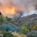 Spencer Pratt’s Race for Mayor Exhibits How Local weather Disasters Can Gas Anti-Institution Politics