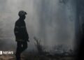 Gironde wildfires flare up as French area braces for brand spanking new 40C heatwave