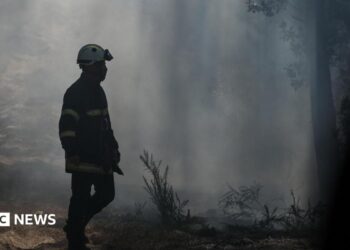 Gironde wildfires flare up as French area braces for brand spanking new 40C heatwave