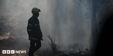 Gironde wildfires flare up as French area braces for brand spanking new 40C heatwave