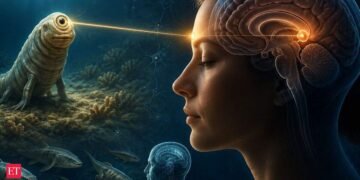 People have a ‘third eye’ within the mind: Research hyperlinks it to a 600-million-year-old Cyclops ancestor