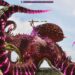 tame Palaeoctopus (Large Squid) in ARK Survival Ascended Genesis 1