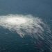 Germany declines to reveal intel on Nord Stream sabotage – media — RT World Information