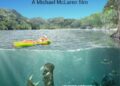 CROCODYLUS Overview and ‘director’s reduce’ free on-line