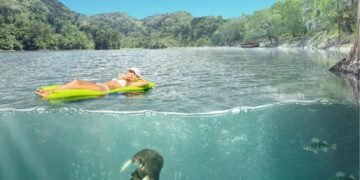 CROCODYLUS Overview and ‘director’s reduce’ free on-line