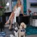 Group, Canine, and Rock & Roll
