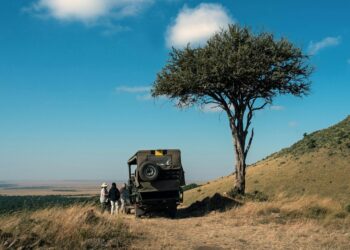 A Traveler’s Well being Information to East Africa Safaris