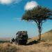 A Traveler’s Well being Information to East Africa Safaris