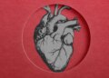 New Research Finds Hyperlink Between Microplastics and Coronary heart Assaults