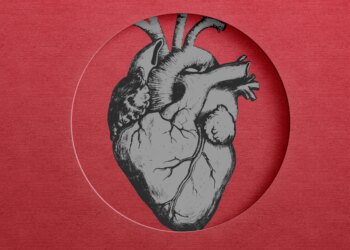 New Research Finds Hyperlink Between Microplastics and Coronary heart Assaults
