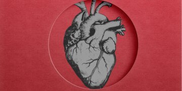 New Research Finds Hyperlink Between Microplastics and Coronary heart Assaults