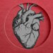 New Research Finds Hyperlink Between Microplastics and Coronary heart Assaults