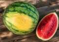 Methods to Decide a Excellent Watermelon Each Time