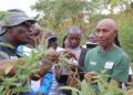How Farmers Are Studying About Restoring Soils and Scaling Agroecology in Kenya — International Points