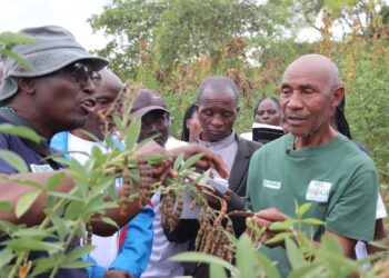 How Farmers Are Studying About Restoring Soils and Scaling Agroecology in Kenya — International Points