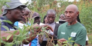 How Farmers Are Studying About Restoring Soils and Scaling Agroecology in Kenya — International Points