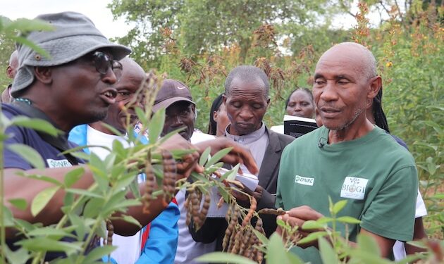 How Farmers Are Studying About Restoring Soils and Scaling Agroecology in Kenya — International Points