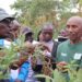 How Farmers Are Studying About Restoring Soils and Scaling Agroecology in Kenya — International Points