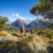 Three Days Experiencing Fiordland’s Nice Walks From Te Anau