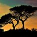 Tenting in Cyprus by Campervan: Guidelines, Campsites, and Life on the Street