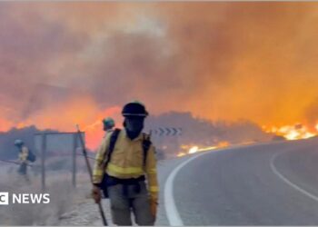 Twelve die in Spain wildfire as heatwave continues in Southern Europe