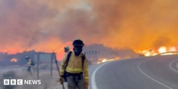 Twelve die in Spain wildfire as heatwave continues in Southern Europe