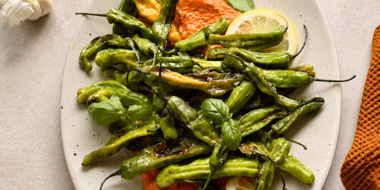 Shishito Peppers with Romesco Are the Greatest Summer season Appetizer