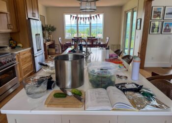 The whole lot I’ve Realized About Canning Pickles
