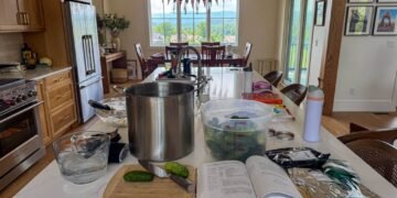 The whole lot I’ve Realized About Canning Pickles