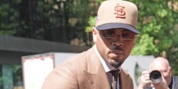 Chris Brown pleads responsible to cost over London nightclub altercation – Nationwide