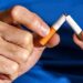 The Obtain: a smoking “endgame” and a brand new Elizabeth Bear story