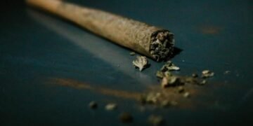What Separates a High quality Pre-Roll From a Mediocre One