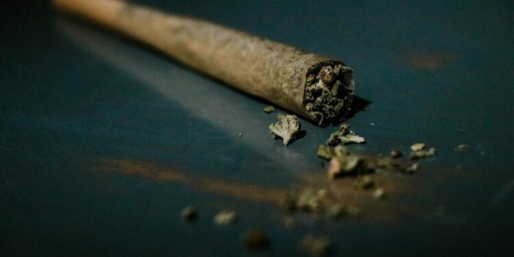 What Separates a High quality Pre-Roll From a Mediocre One