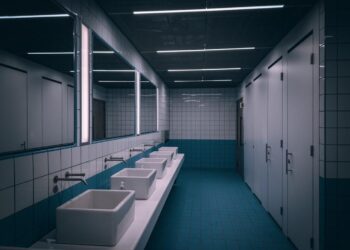 The Structure of Dignity: Restroom Privateness Tendencies for 2026