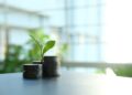 Get 20% Extra Worth Redeeming Avion Factors at RBC Direct Investing