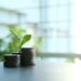 Get 20% Extra Worth Redeeming Avion Factors at RBC Direct Investing