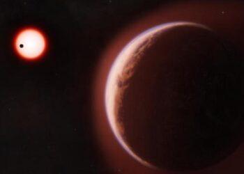 Astronomers Discovered the First Environment on a Planet in One other Star’s Liveable Zone