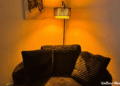 Daylight, Purple Mild, and Learn how to Harness Mild’s Advantages for Well being