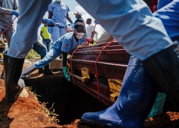 Ebola Returns: How We Can Battle Again