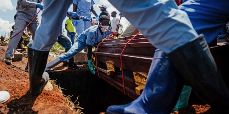 Ebola Returns: How We Can Battle Again