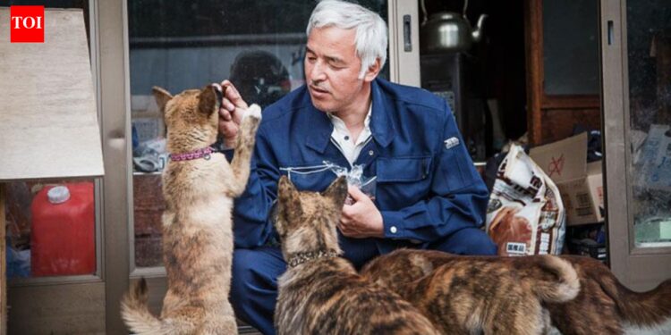 Fukushima nuclear catastrophe pressured greater than 150,000 individuals to flee and turned cities into ghost cities, however one man went again to avoid wasting the animals: Meet Naoto Matsumura |
