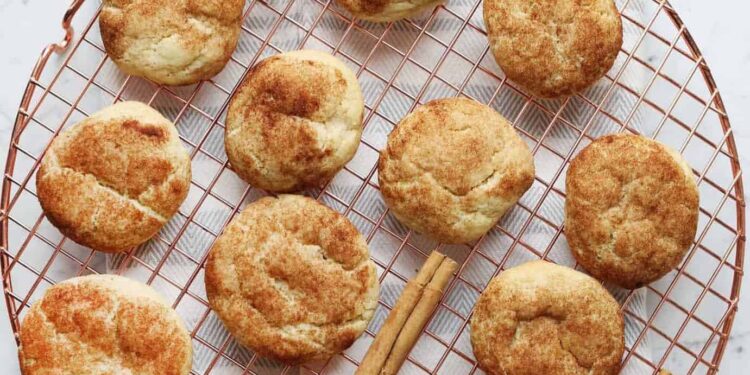 Snickerdoodle Recipe (With out Cream of Tartar)