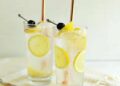 Tom Collins – A Lovely Mess